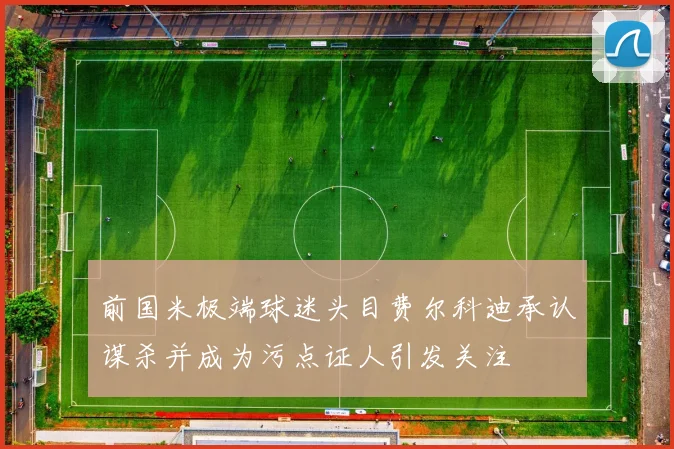 前国米极端球迷头目费尔科迪承认谋杀并成为污点证人引发关注